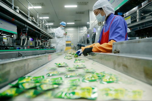 天門工業企業奮戰新春“開門紅” 一線見聞